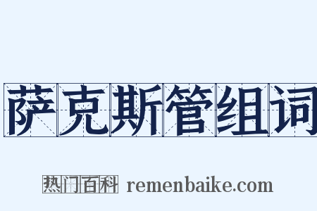 萨克斯管组词是什么意思的图片
